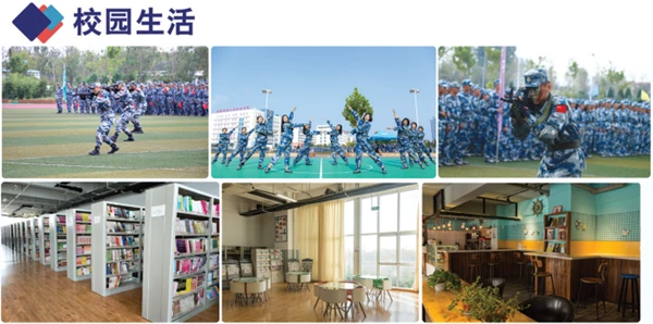 篮球训练心得体会200字左右作文_0